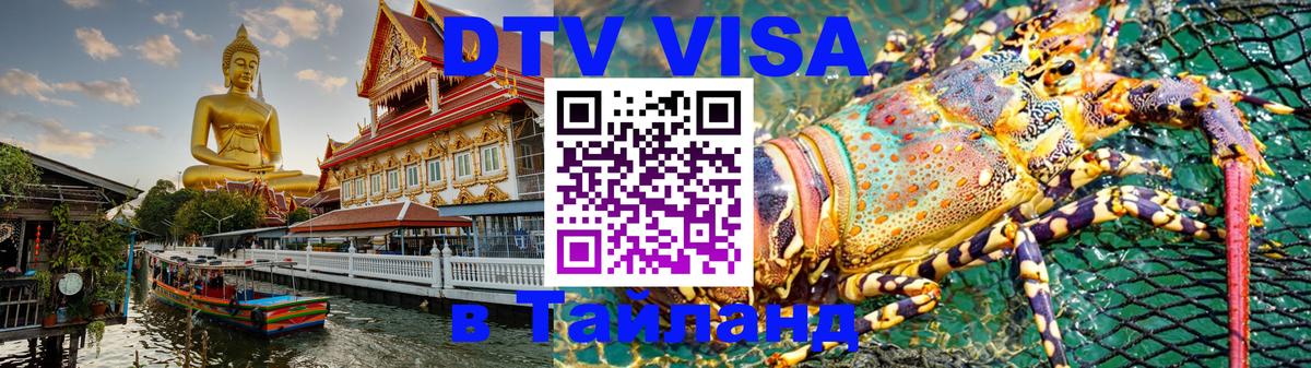 Оформление DTV визы под ключ: стоимость и тарифы, только загранпаспорт - Бердск  20.11.2025 